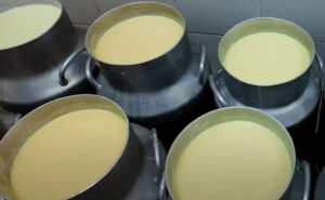 Innovación láctea nutrición, sostenibilidad y confianza