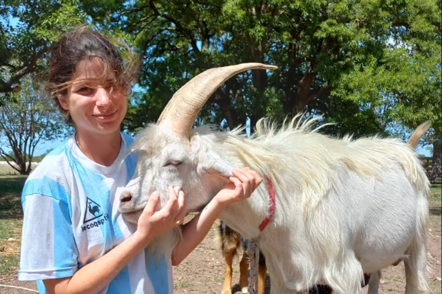La francesa que eligió hacer quesos
