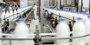La industria láctea uruguaya en tensión