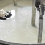 Lácteos Fermentados