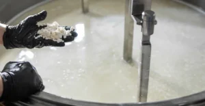 Lácteos Fermentados