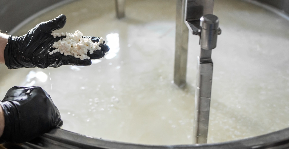 Lácteos Fermentados
