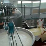 Precio recibido por la industria láctea subió 12% en junio