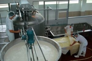Precio recibido por la industria láctea subió 12% en junio