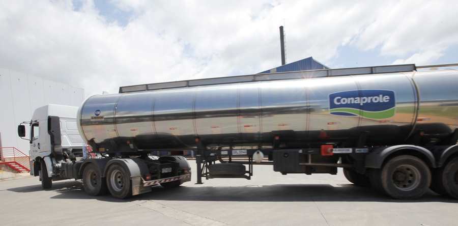 Remisión de leche a Conaprole sube 14% en agosto