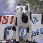 Sindicato lechero de Uruguay se suma a paro nacional
