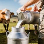 Urgente llamado de Asoleche ante riesgo de perder 500.000 litros de leche por bloqueos en Boyacá