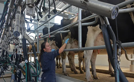 Uruguay el sector lechero apoya compra de tierras para producción