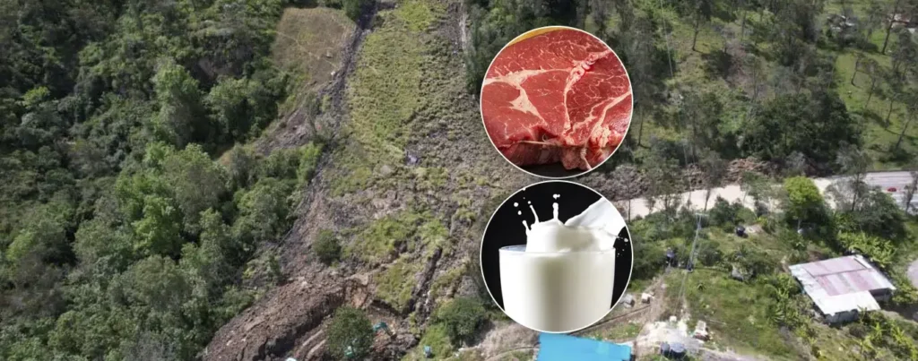 Carne y leche podrían encarecerse por derrumbe en el corredor Bogotá-Villavicencio