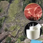 Carne y leche podrían encarecerse por derrumbe en el corredor Bogotá-Villavicencio