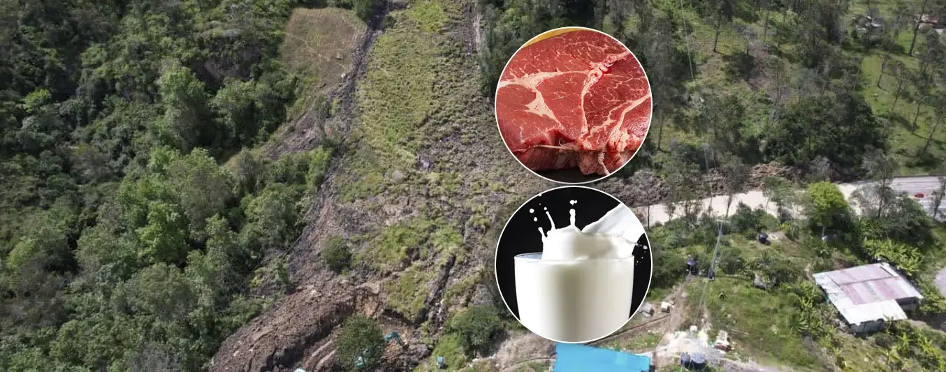 Carne y leche podrían encarecerse por derrumbe en el corredor Bogotá-Villavicencio