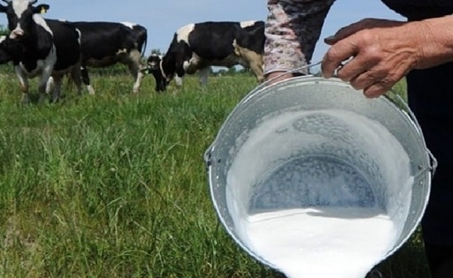 Cartagena del Chairá impulsa la Ruta de la Leche