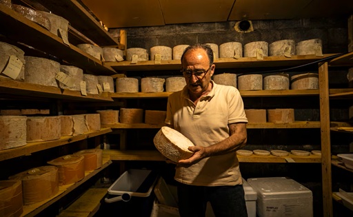 Cheddar “made in L’Empordà”