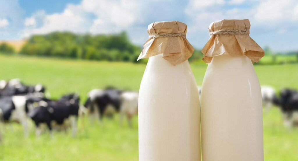 Colombia crisis lechera golpea a campesinos y consumidores