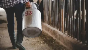 Crisis producción lechera por exceso de agua
