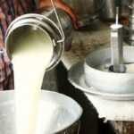 Denuncian cierre masivo de lecherías en Bolivia