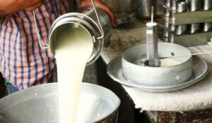Denuncian cierre masivo de lecherías en Bolivia