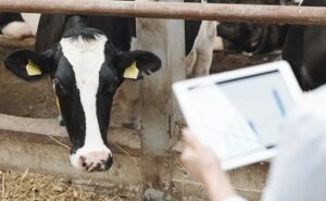 El futuro ganadero de Colombia ya llegó, gracias a la salud inteligente