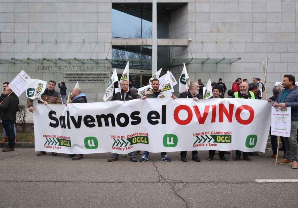 El ovino de leche denuncia
