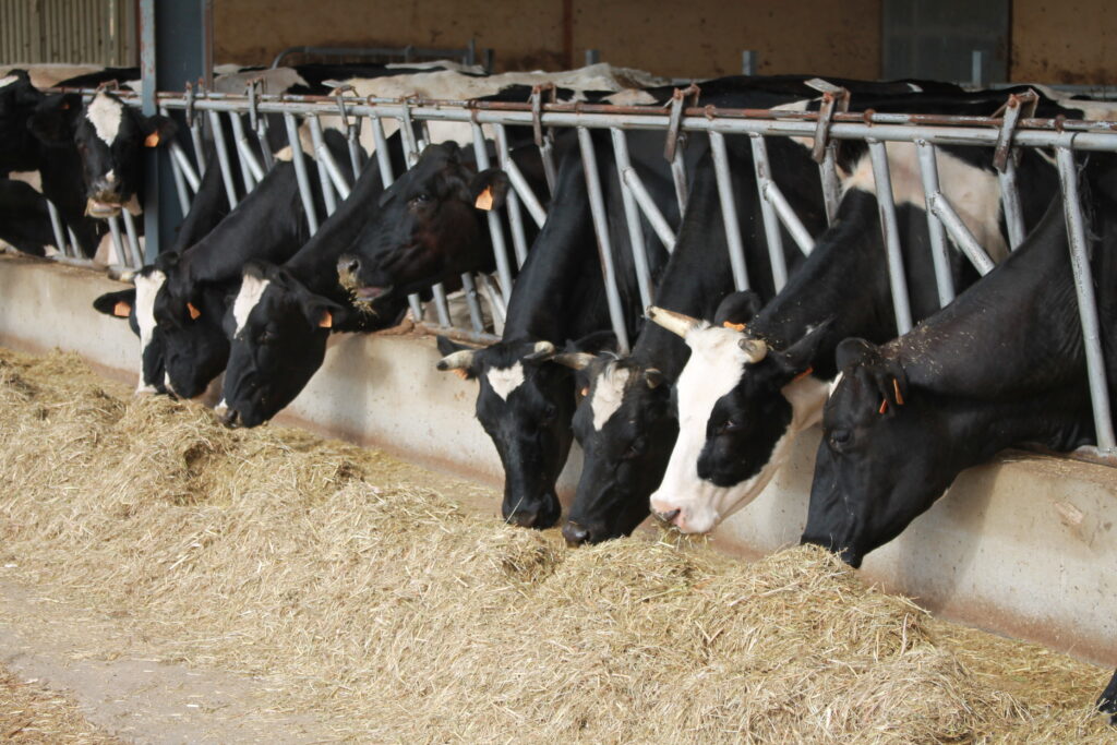 España la leche de vaca repunta tras meses de caídas de precios
