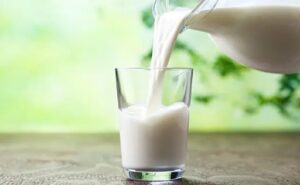 Estudio chileno busca mejorar la tolerancia a la leche con beta-caseína A2