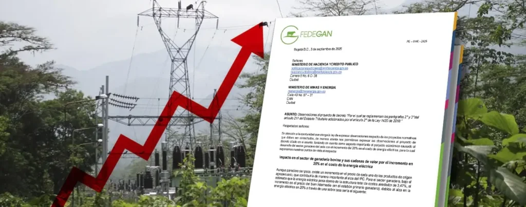 Fedegán rechaza suba del 20 % en energía atenta contra el sector ganadero