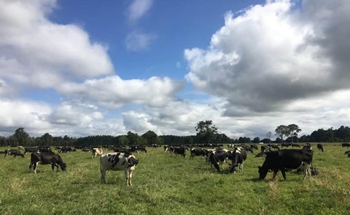Fedeleche analiza desafíos y coyuntura del sector lácteo
