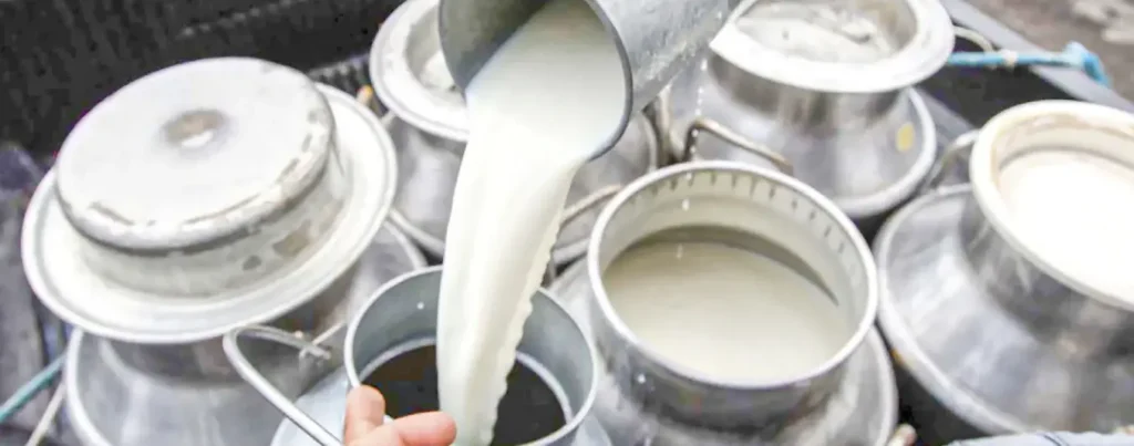 Ganaderos indignados reciben $1.600 por leche que se vende a $4.500