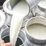 Ganaderos indignados reciben $1.600 por leche que se vende a $4.500