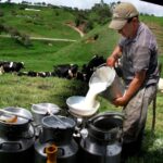 Genética de Élite para la Ganadería de Antioquia
