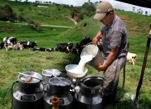 Genética de Élite para la Ganadería de Antioquia