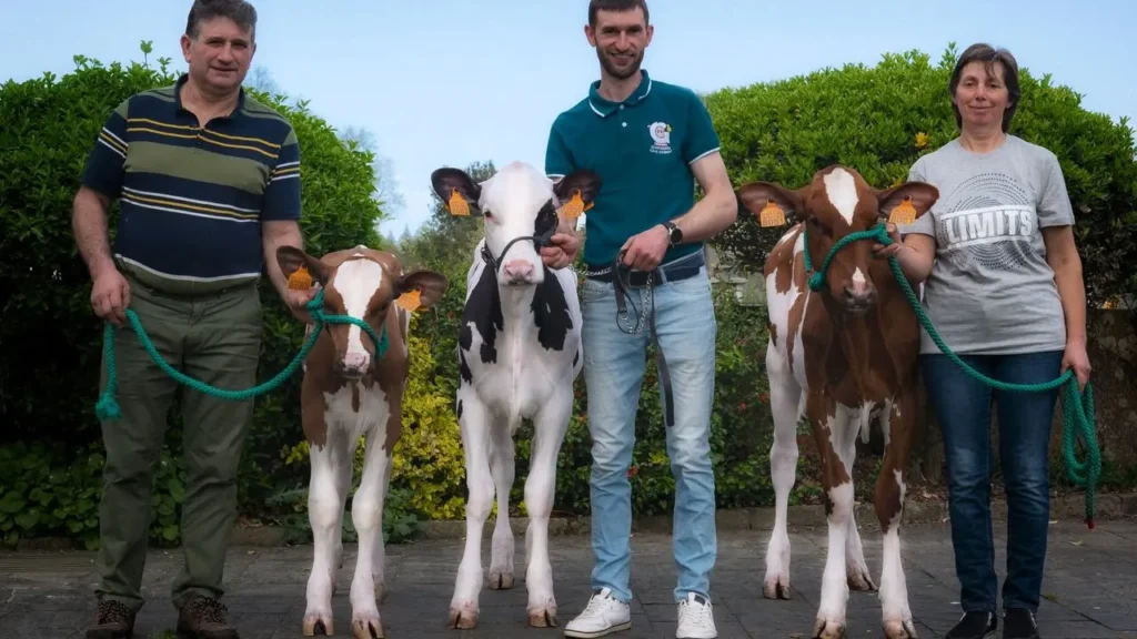 Genotipado ubica a cuatro vacas de Lugo entre las 10 mejores de España