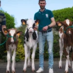 Genotipado ubica a cuatro vacas de Lugo entre las 10 mejores de España