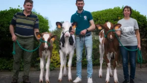 Genotipado ubica a cuatro vacas de Lugo entre las 10 mejores de España