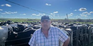 Holando cabañeros y productores con metas comunes