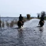 Inundaciones prorrogan emergencia agropecuaria en Buenos Aires