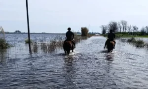 Inundaciones prorrogan emergencia agropecuaria en Buenos Aires