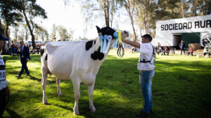 La Campeona Suprema de la Fiesta Nacional del Holando es de Santa Fe