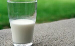 La industria láctea chilena marca cifras récord y abre nuevas oportunidades