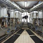 Ligero repunte en el mercado lácteo europeo en septiembre
