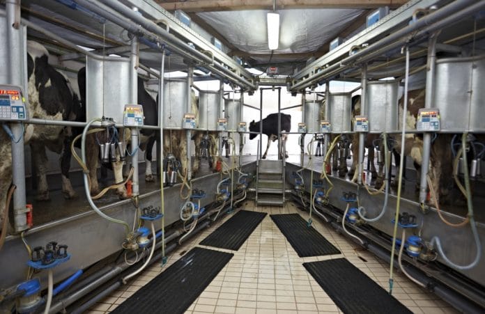 Ligero repunte en el mercado lácteo europeo en septiembre