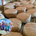 Mujeres quesos móviles