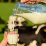 Productores chilenos preocupados por seguridad rural y sanidad