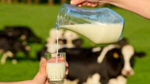 Productores chilenos preocupados por seguridad rural y sanidad