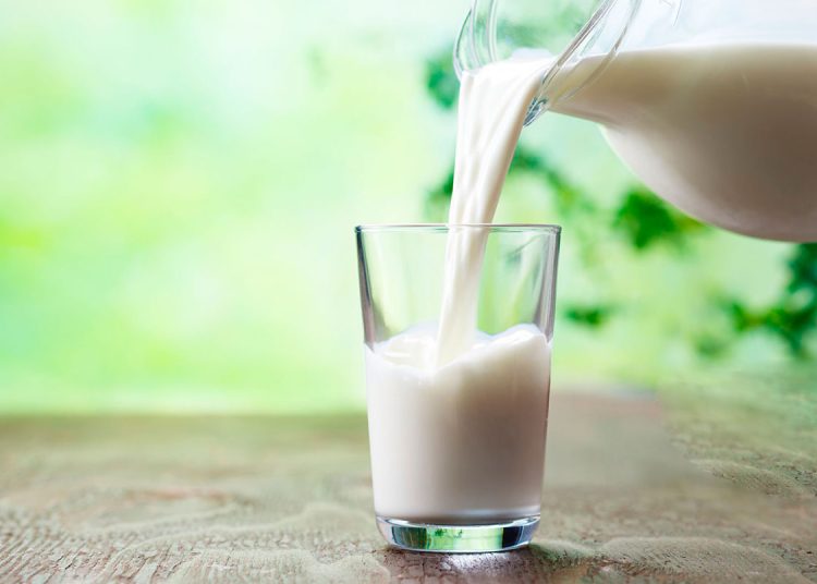 República Dominicana Apuesta a la Leche