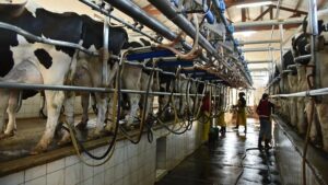 Santa Fe aumenta producción pese a menos establecimientos lecheros