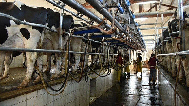 Santa Fe aumenta producción pese a menos establecimientos lecheros