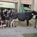 Vaca santafesina da 130 litros en dos días y rompe expectativas