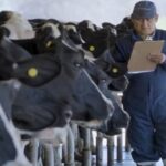Asociatividad y cooperativismo eje de sostenibilidad para la lechería chilena