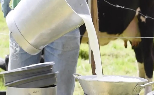 Carne y leche premium así conquistan los mercados más exigentes